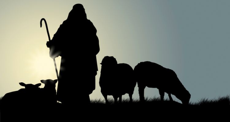 shepherd tending flock of sheep at night